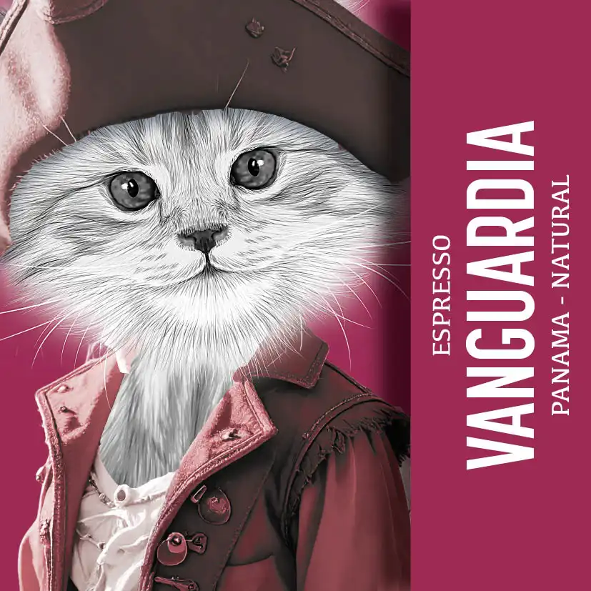 Vanguardia | Espresso aus Panama