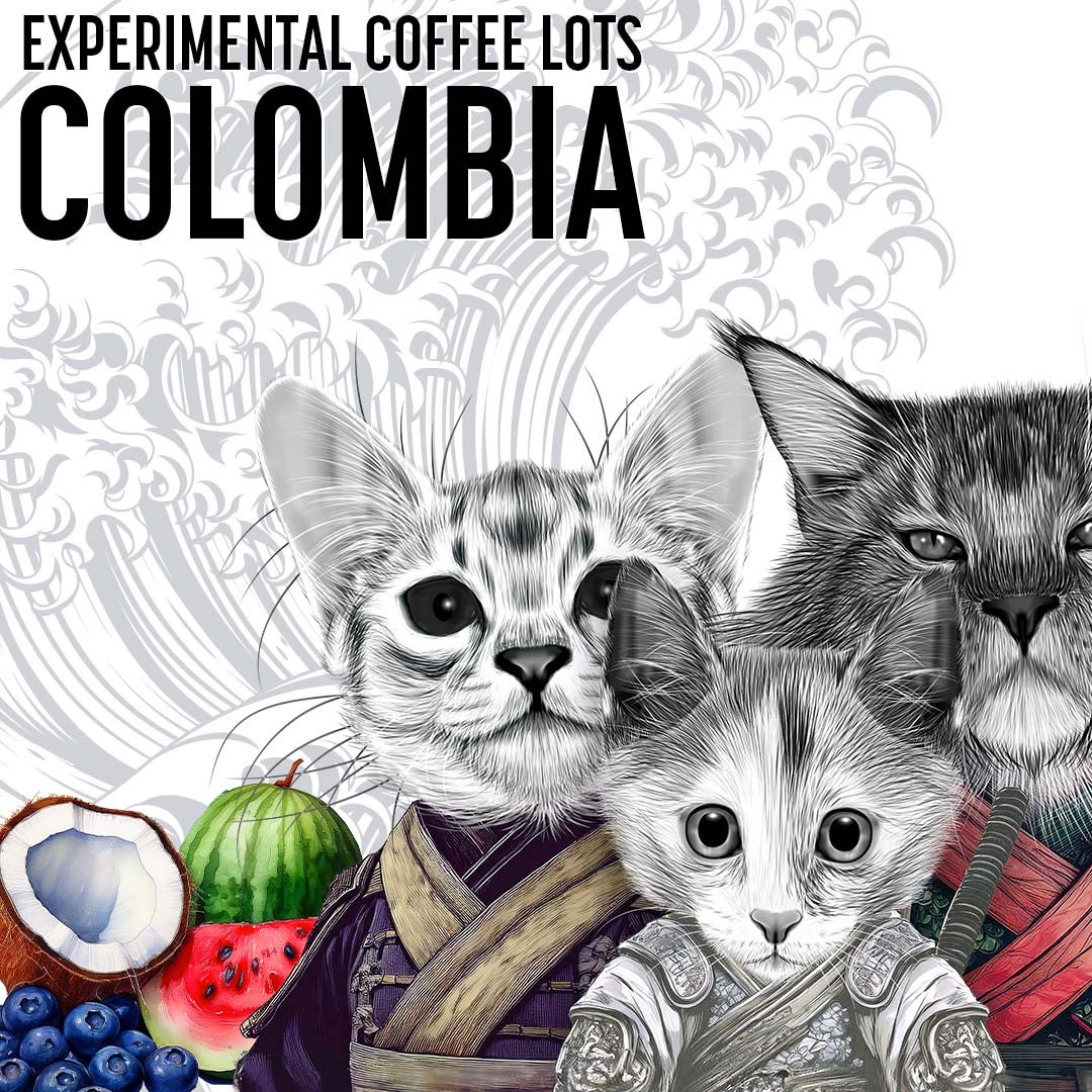 Finca Monteblanco, 125g Filterkaffee - Coconut Co-Fermentation - Kolumbien Finca Monteblanco, 125g Filterkaffee - Coconut Co-Fermentation - Kolumbien