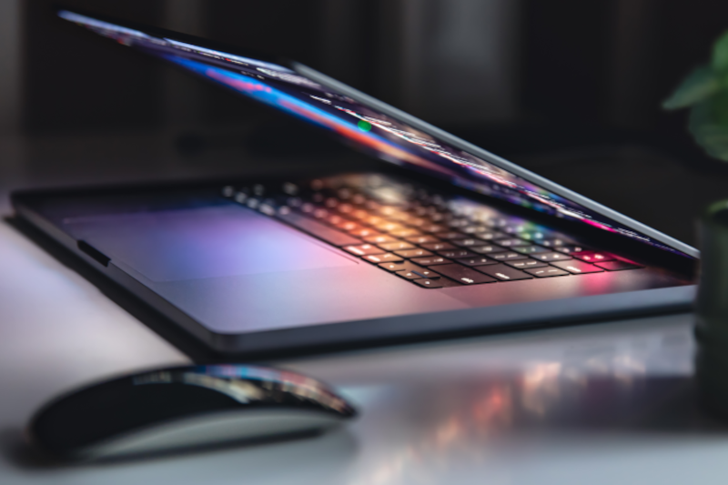 leicht geöffneter Laptop mit Maus und Pflanze