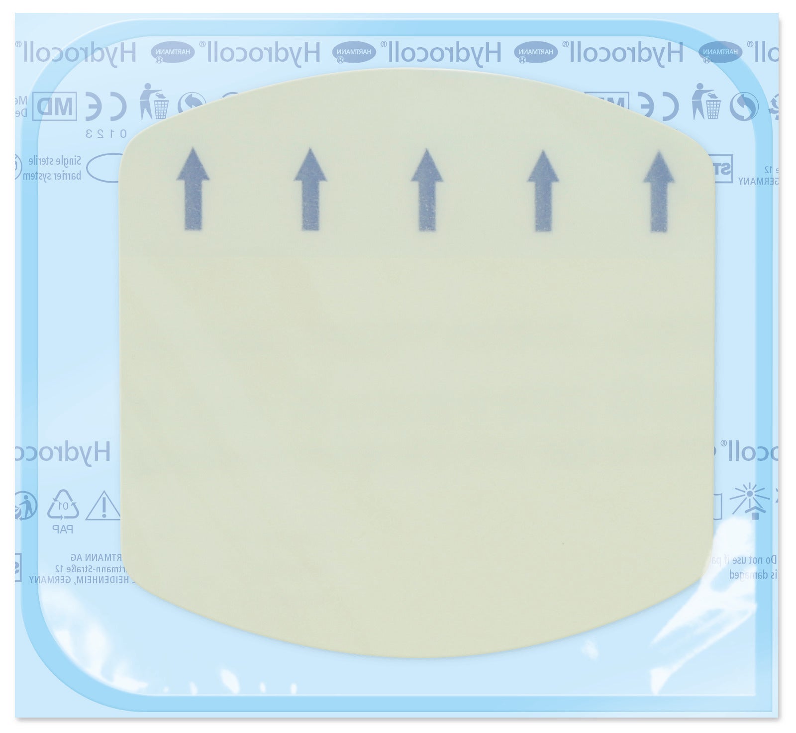 lightbox image