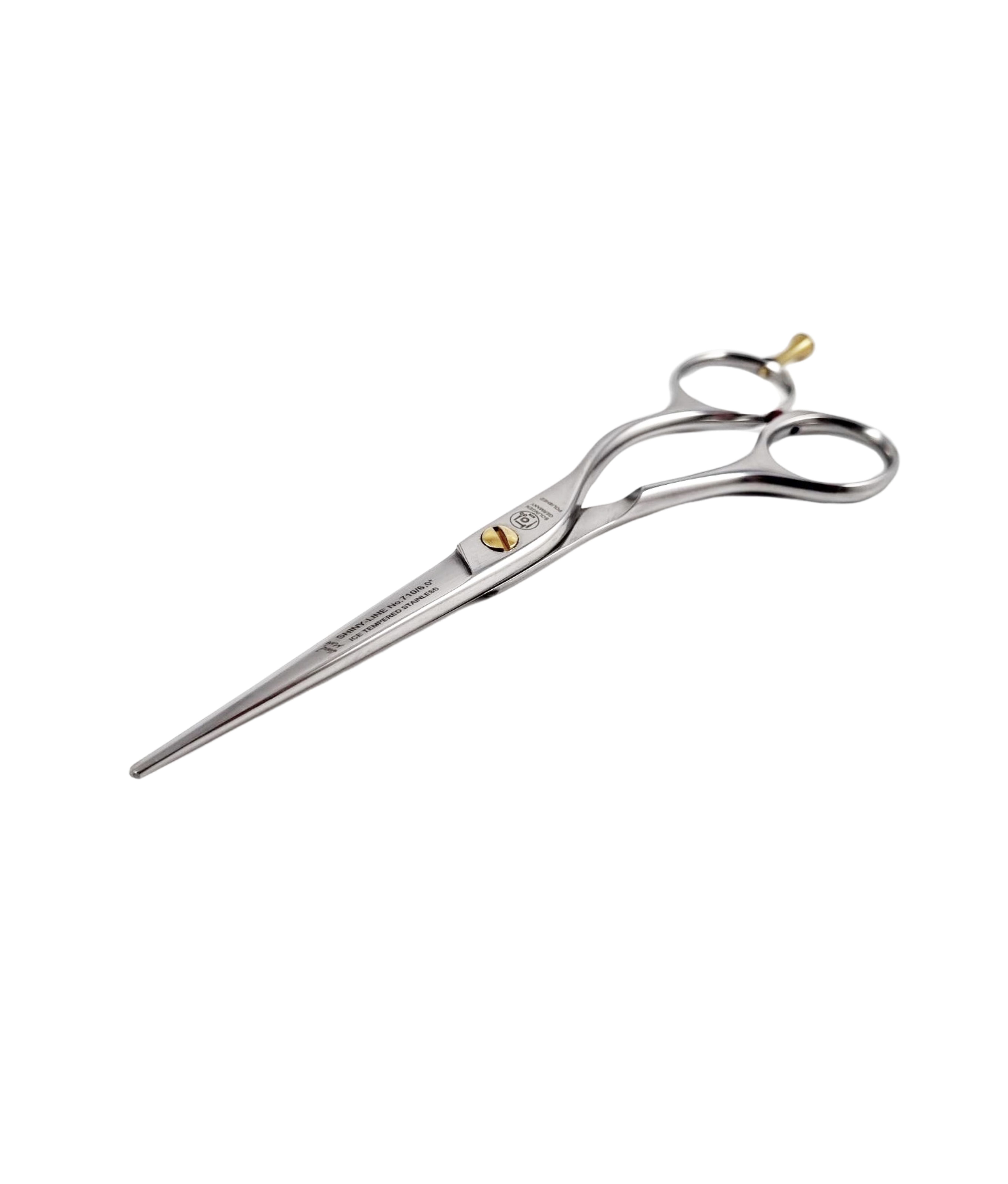 NTS Friseurschere Ergo Shiny Line 710-6,0 Groesse - 6,0 Zoll - 15,2 cm