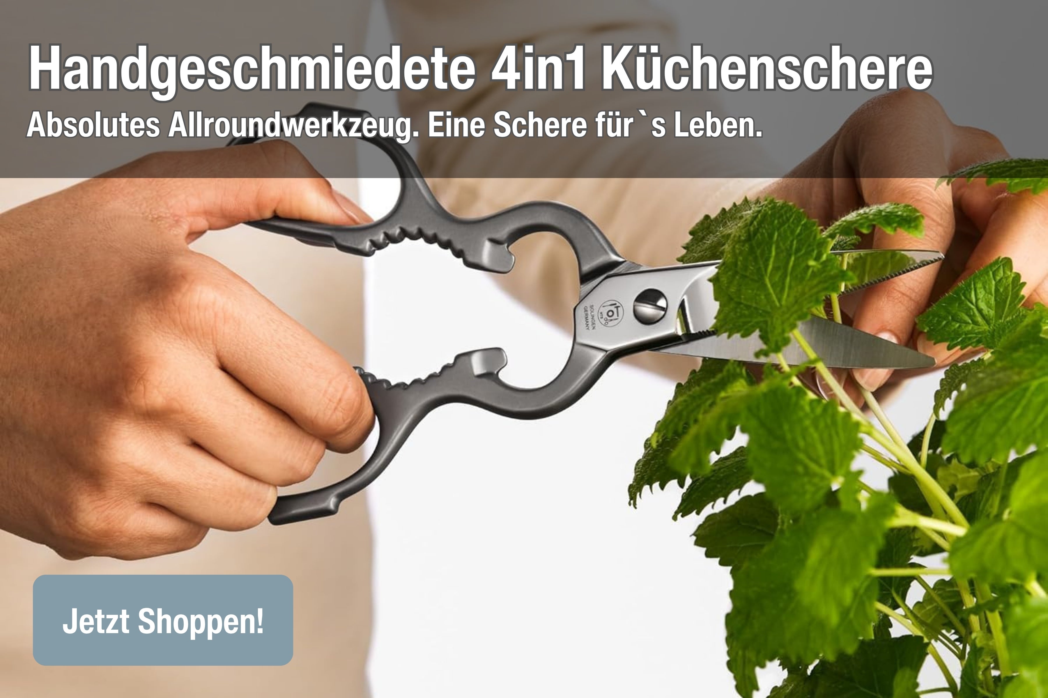 Hochwertige Scheren aus Solingen – Hergestellt in Deutschland