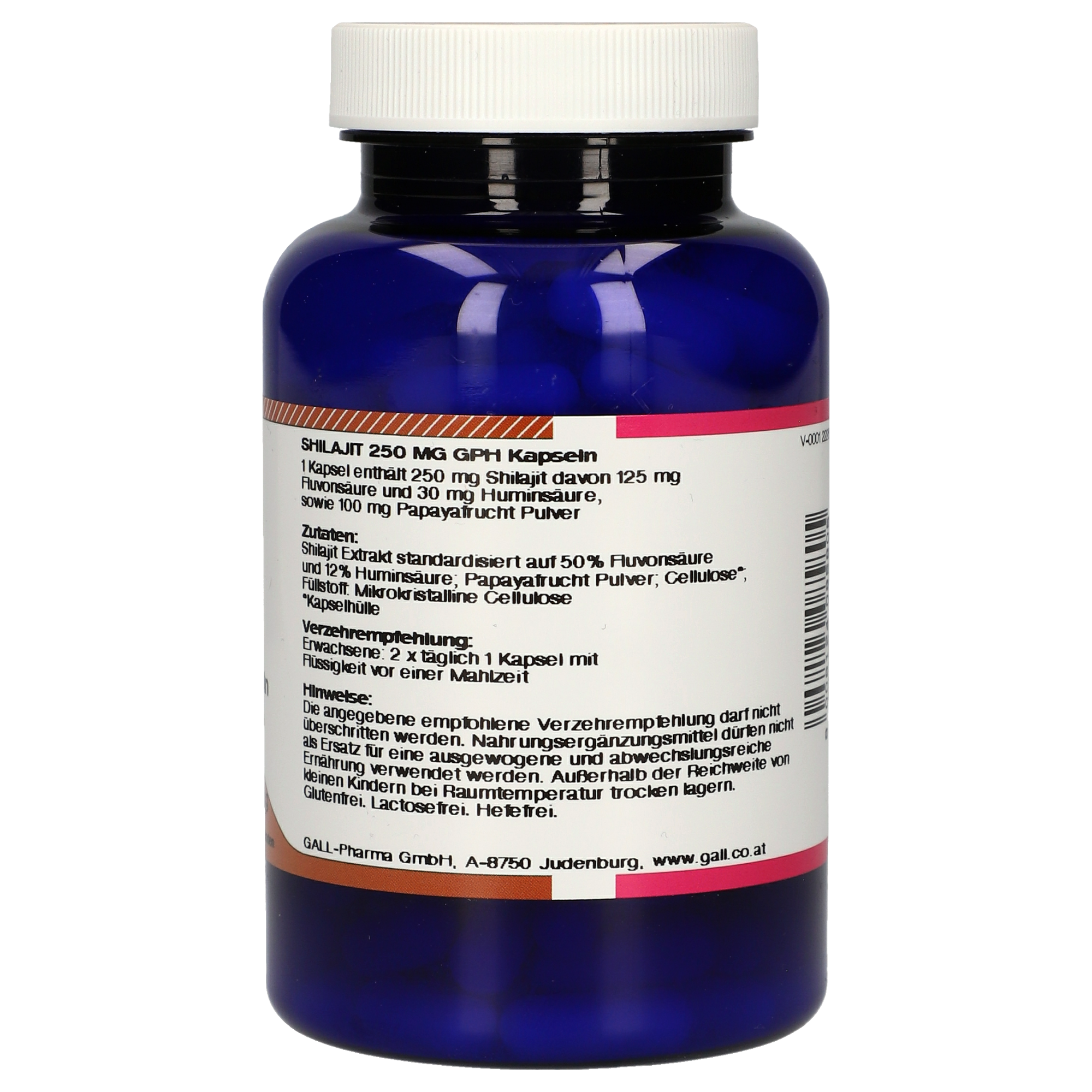 Shilajit 250 mg GPH Kapseln