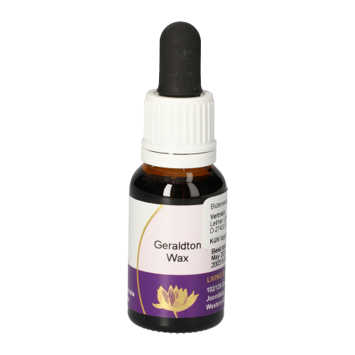 Geraldton Wax Tropfen Geraldton Wax Tropfen