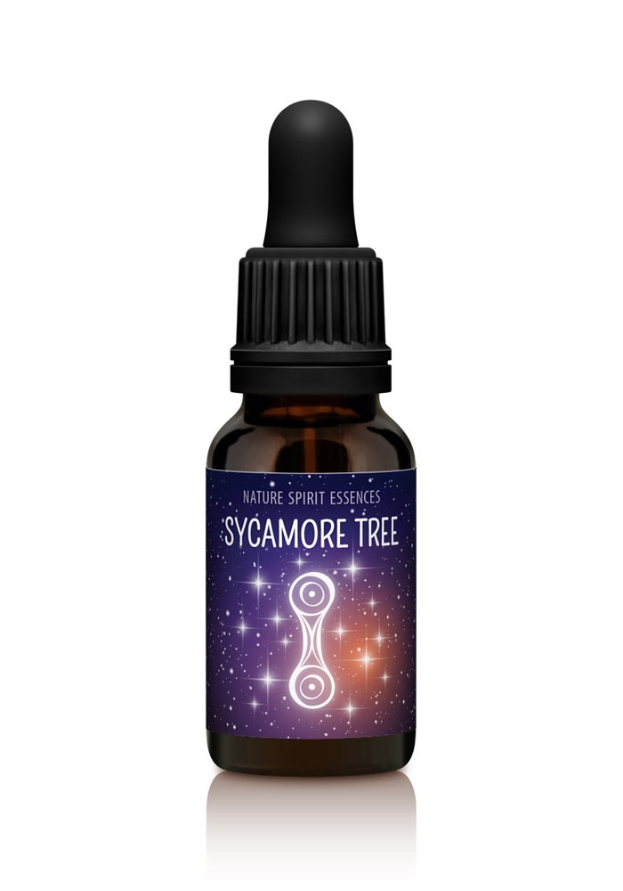 Sycamore Essence Tropfen