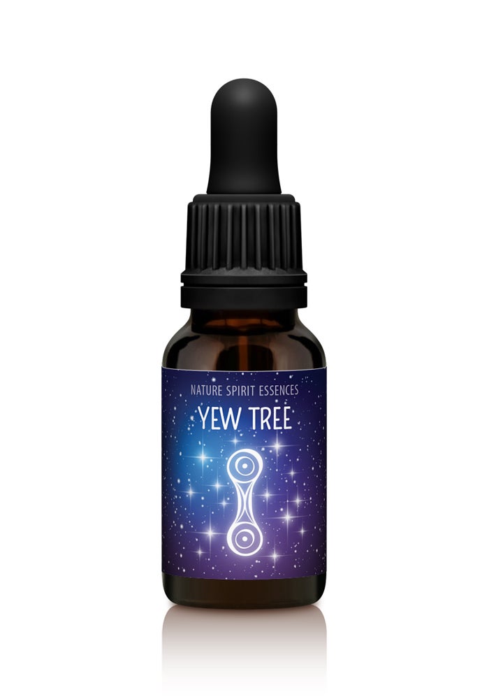 Yew Tree Essence Tropfen