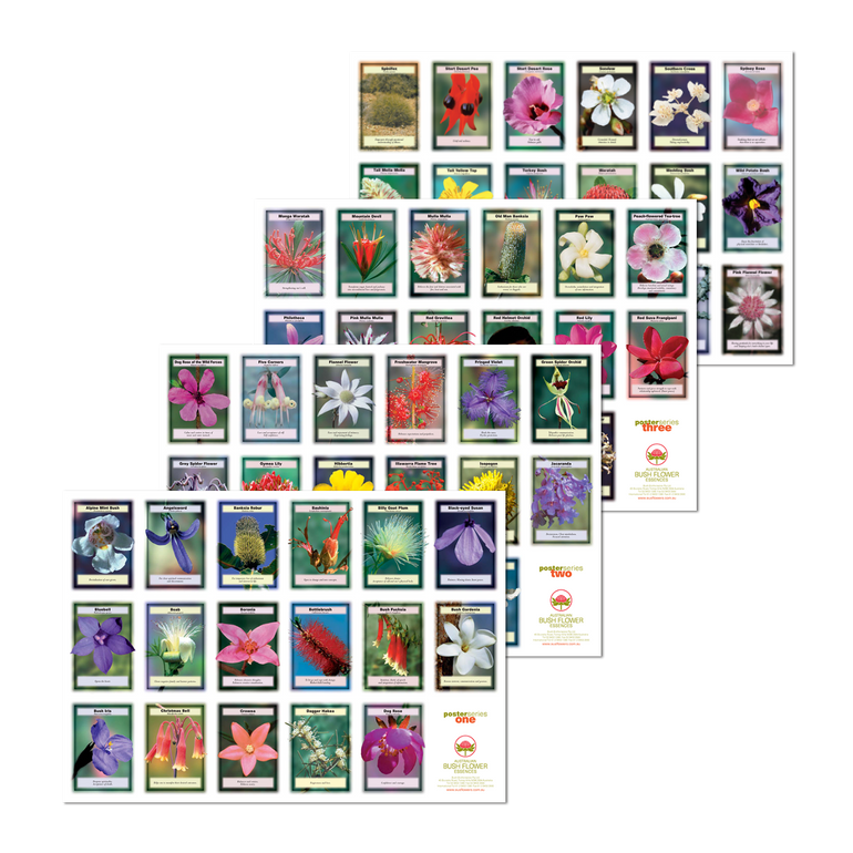 Posters Set (4 Stück, 43 x 61 cm) Posters Set (4 Stück, 43 x 61 cm)