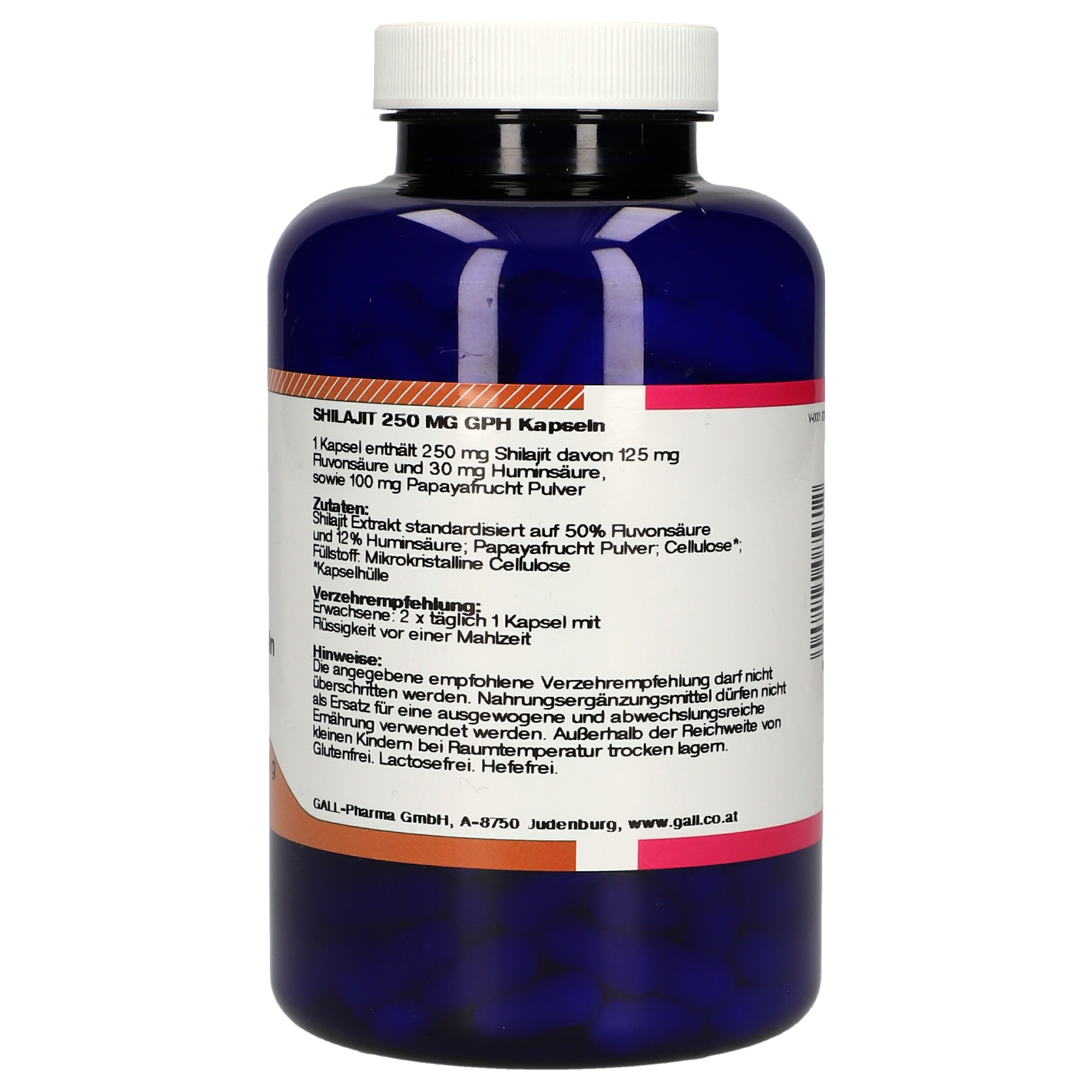 Shilajit 250 mg GPH Kapseln