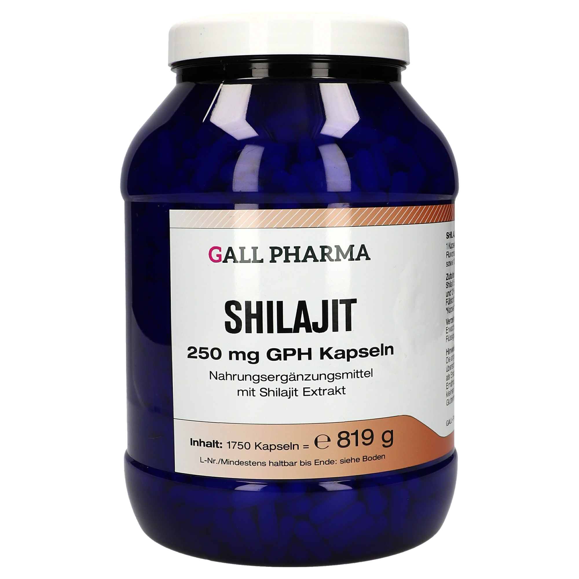 Shilajit 250 mg GPH Kapseln