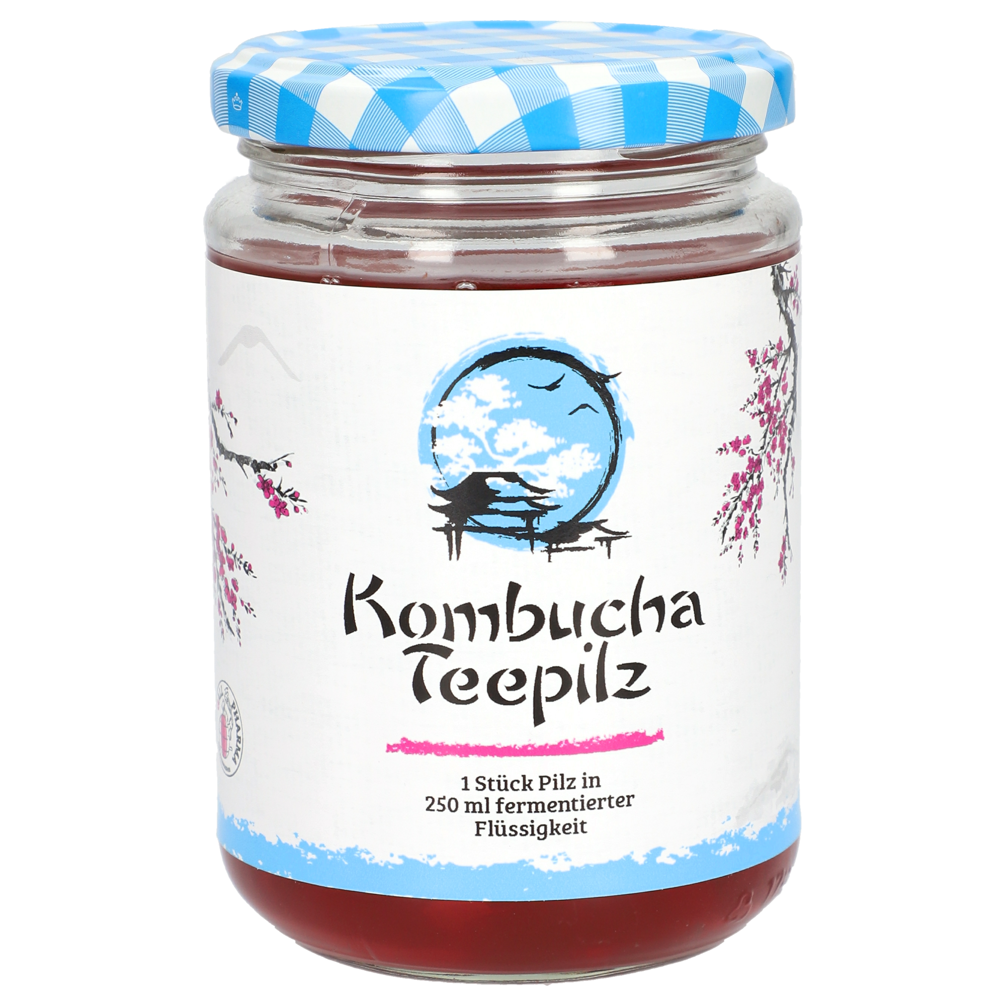 Kombucha Teepilz GPH Kombucha Teepilz GPH