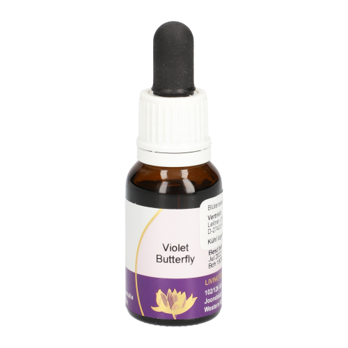 Violet Butterfly Tropfen
