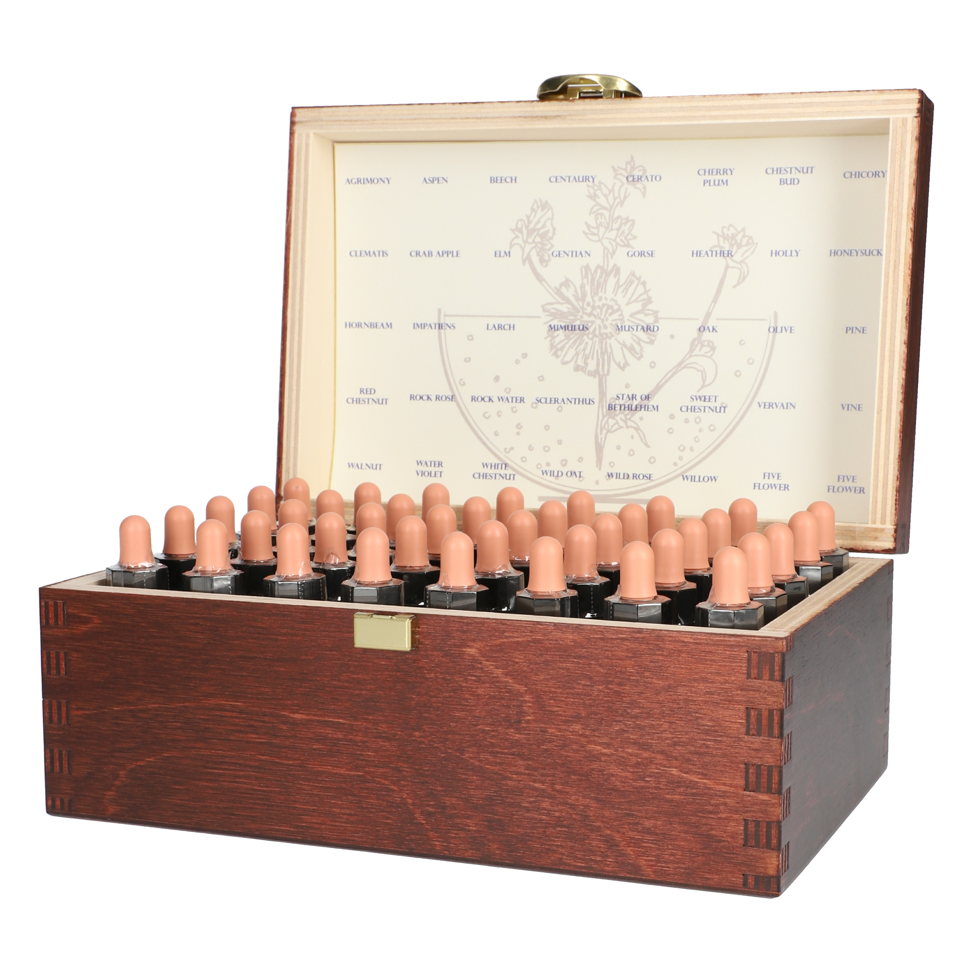 Healing Herbs Bachblüten Komplettset im Holzkasten (40 x 10 ml)