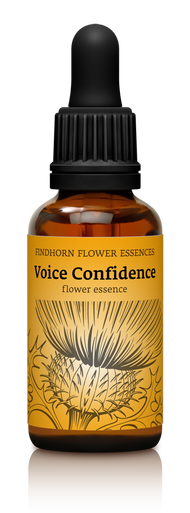 Voice Confidence Tropfen Voice Confidence Tropfen