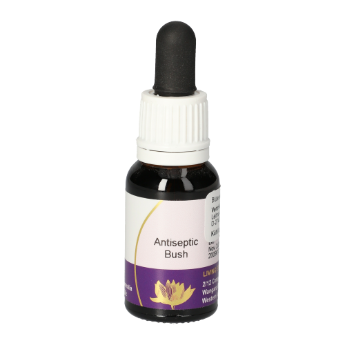 Antiseptic Bush Tropfen Antiseptic Bush Tropfen