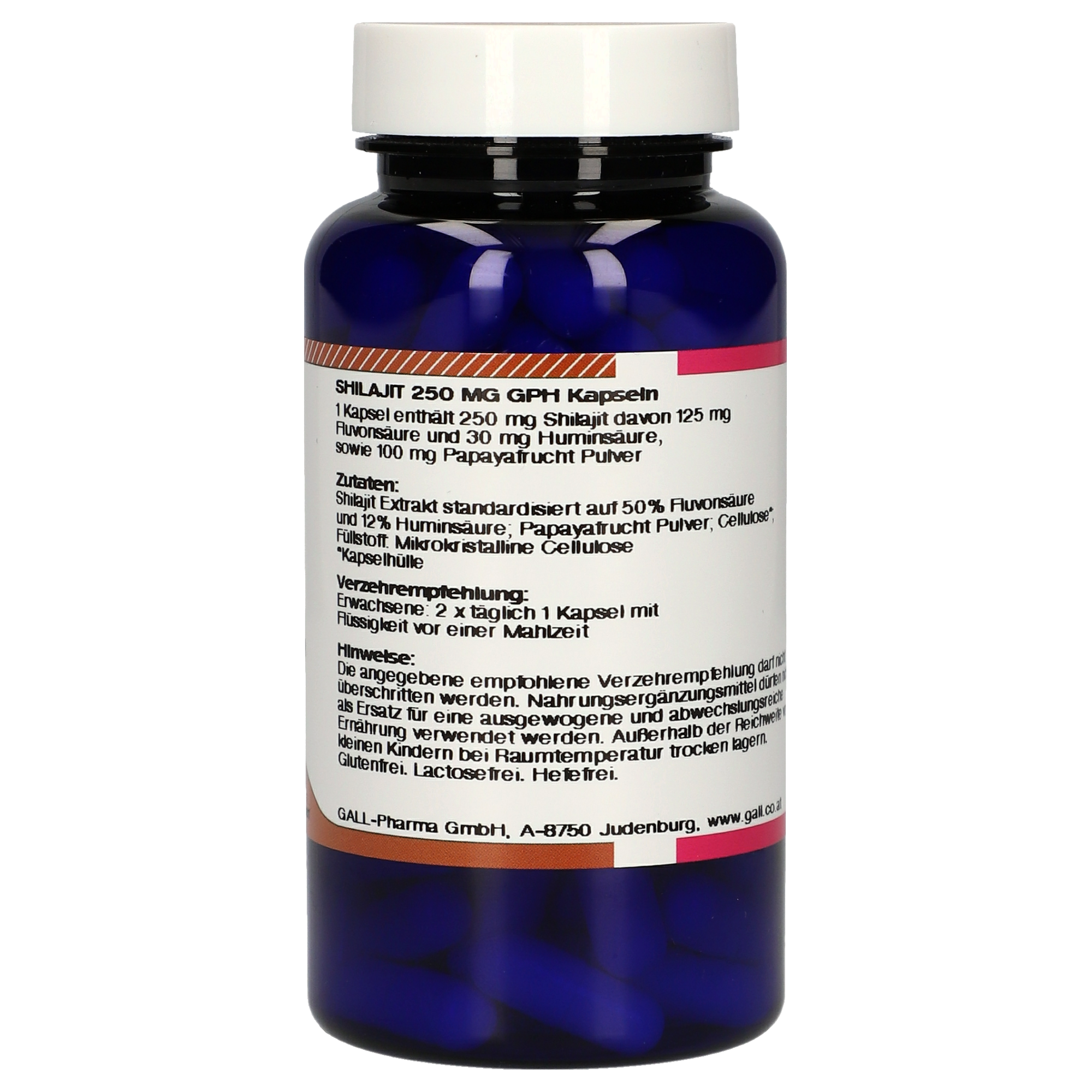 Shilajit 250 mg GPH Kapseln