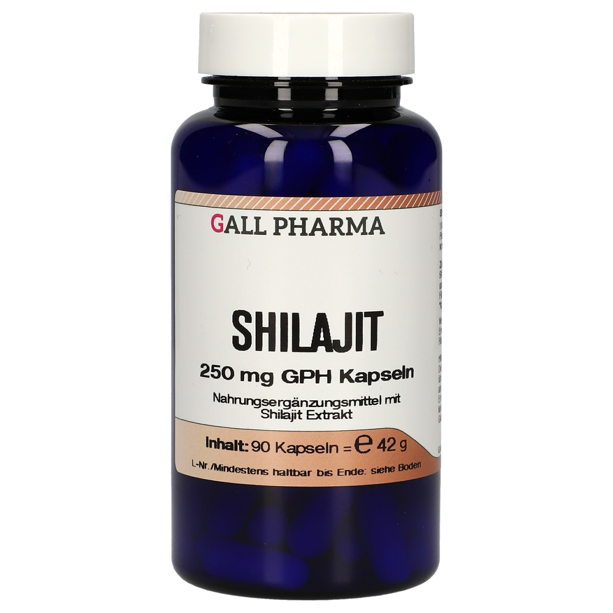 Shilajit 250 mg GPH Kapseln