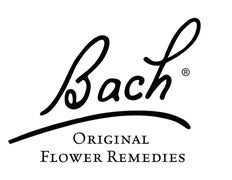 Bach® Original