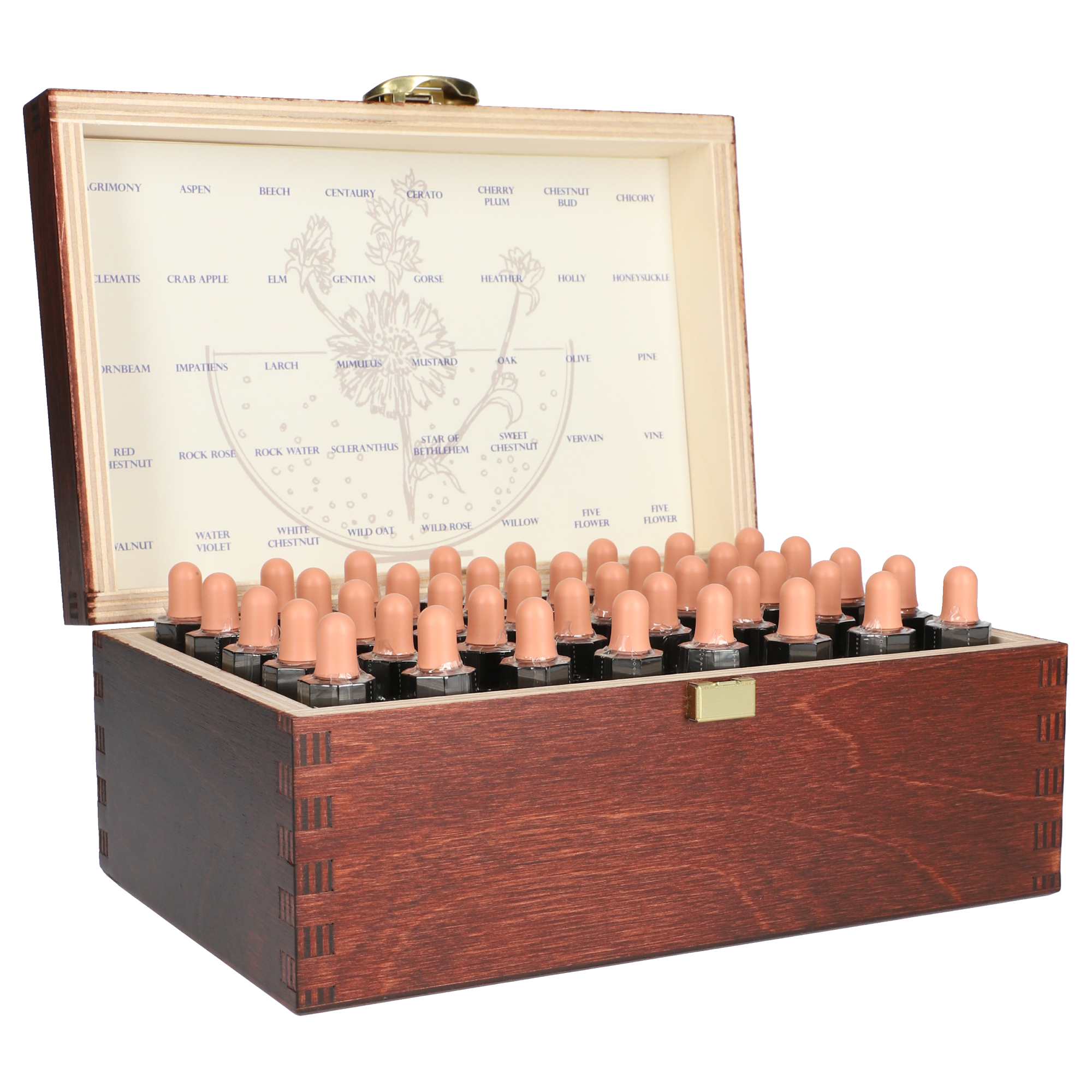 Healing Herbs Bachblüten Komplettset im Holzkasten (40 x 10 ml)