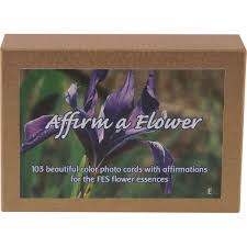 Affirm a Flower Kartenset - 103 FES Flower Essences cards (Englische Ausgabe) Affirm a Flower Kartenset - 103 FES Flower Essences cards (Englische Ausgabe)