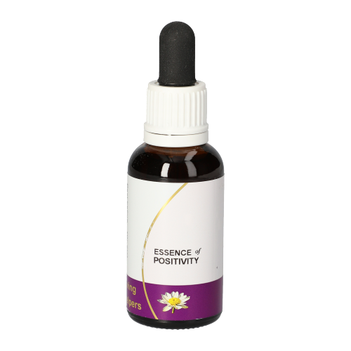 Essence of Positivity Tropfen Essence of Positivity Tropfen