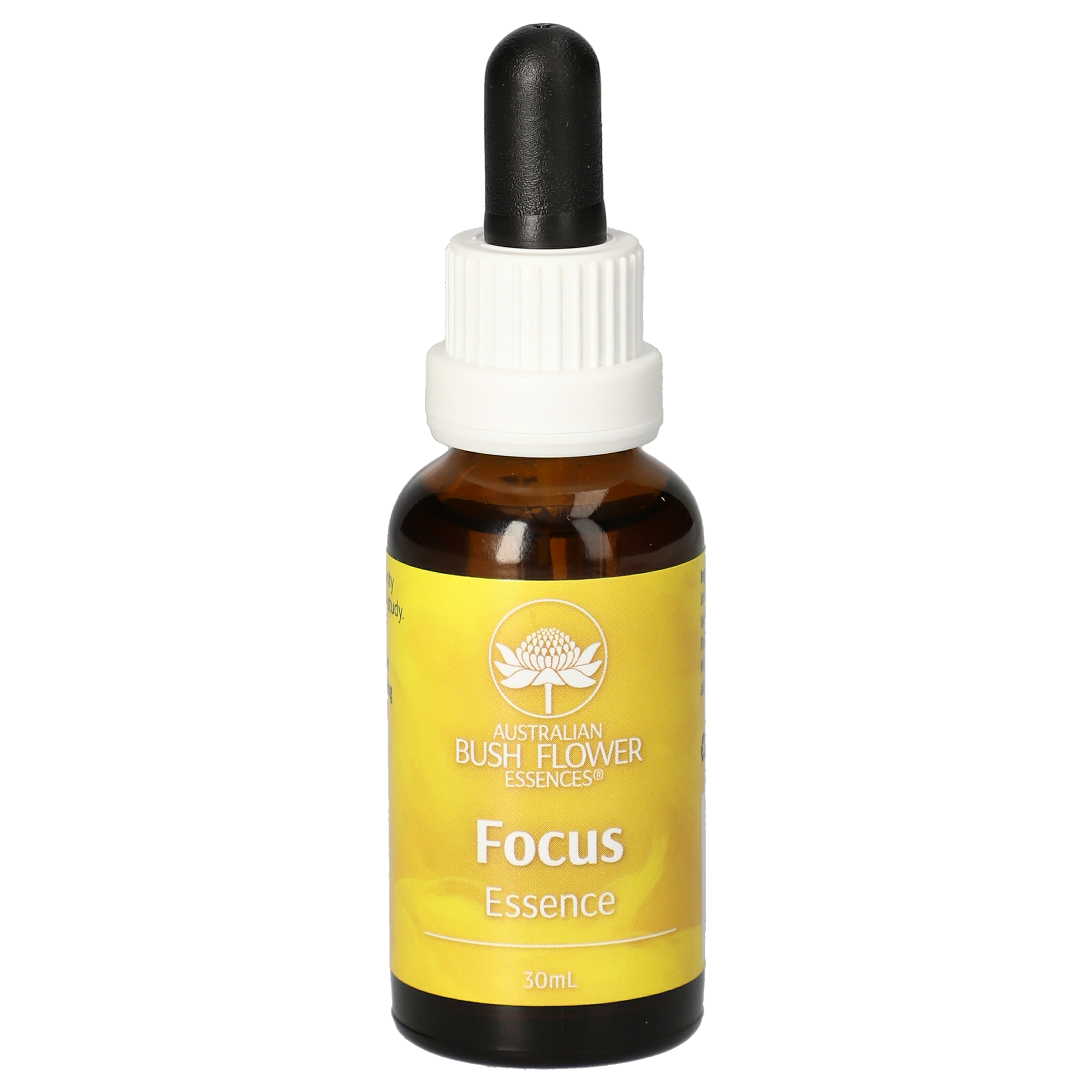 Focus Essence Tropfen