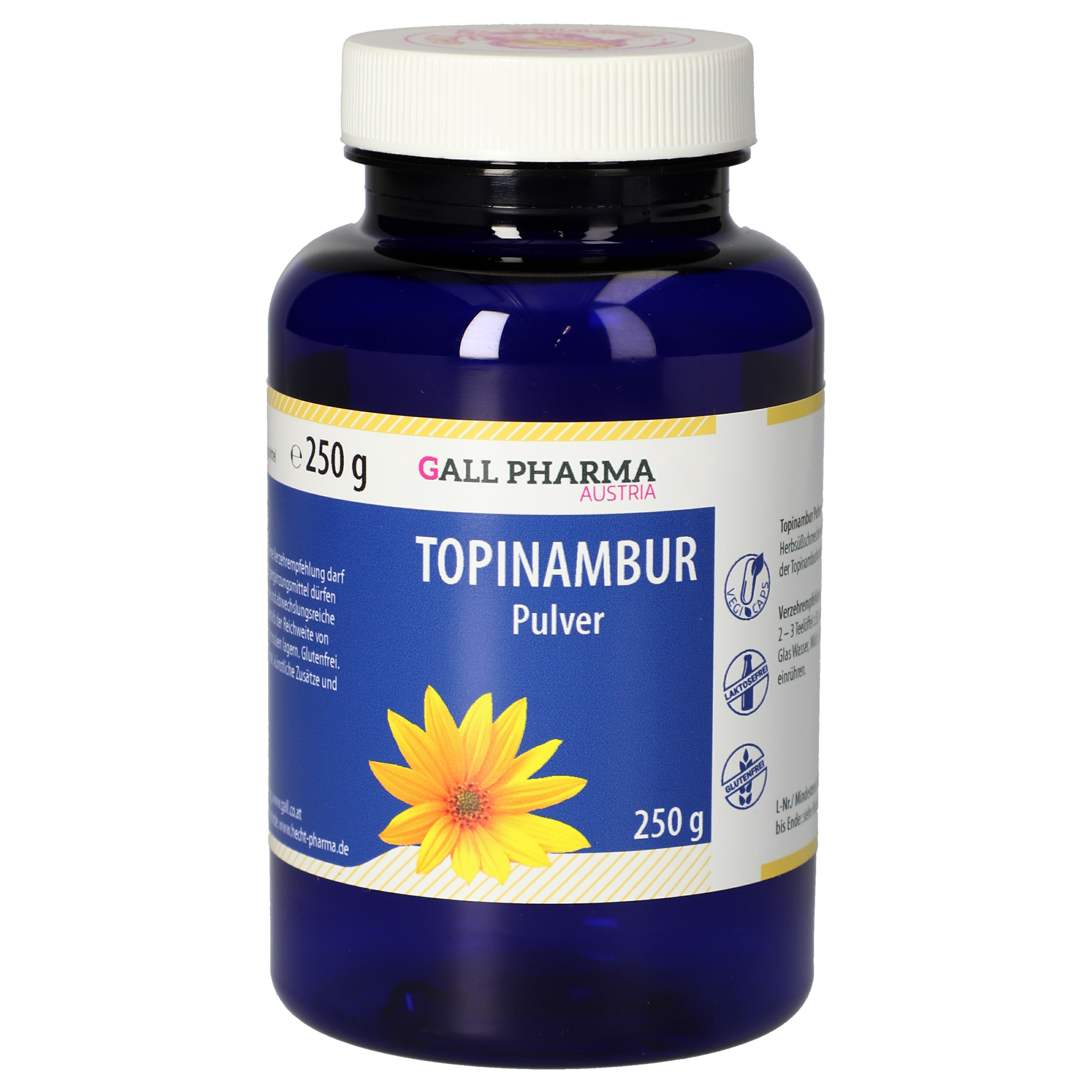 Topinambur GPH Pulver Topinambur GPH Pulver