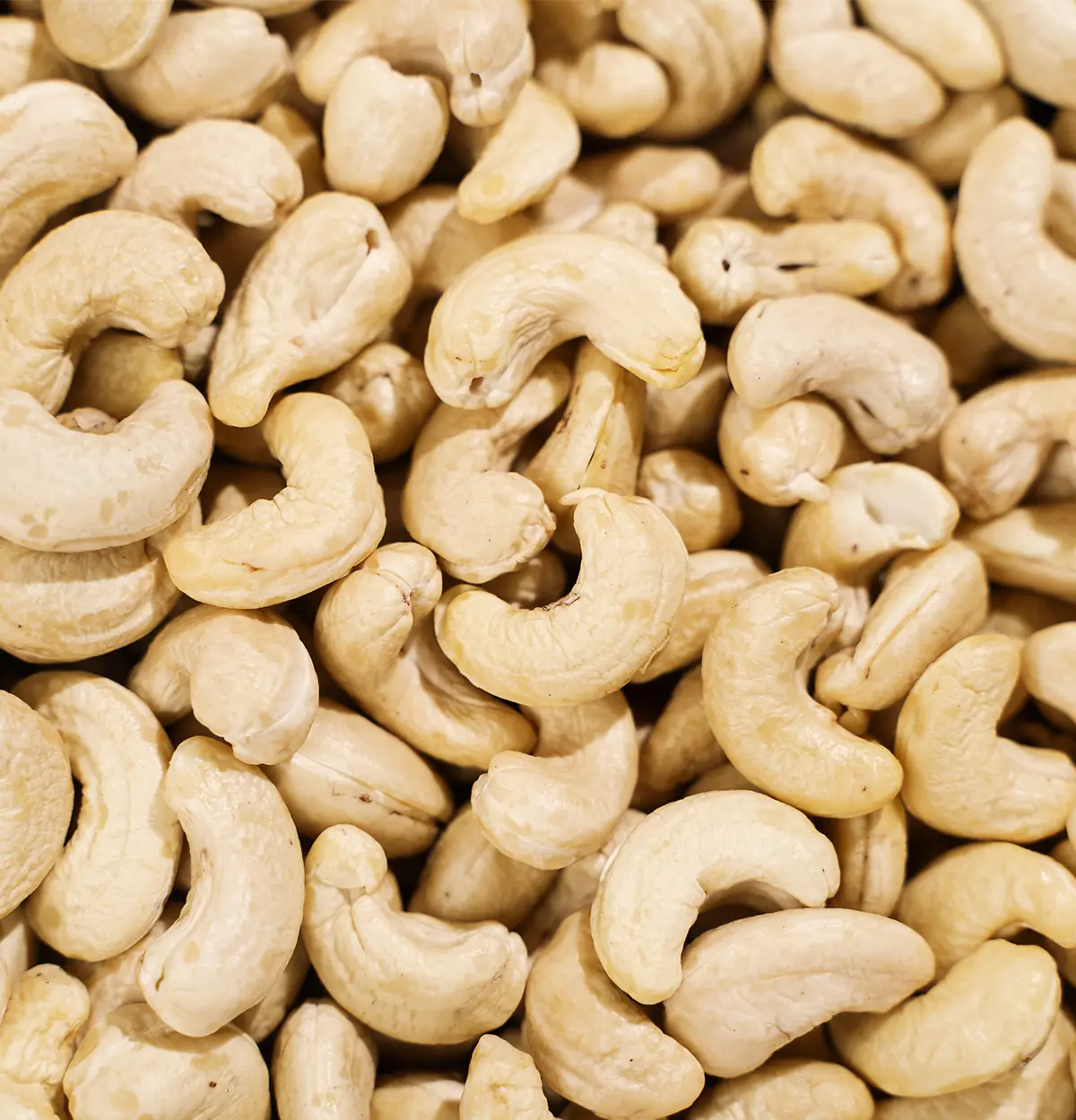 Bio Cashewkerne Naturbelassen Fairtrade Fairfood bio-cashewkerne-naturbelassen-fairtrade-fairfood