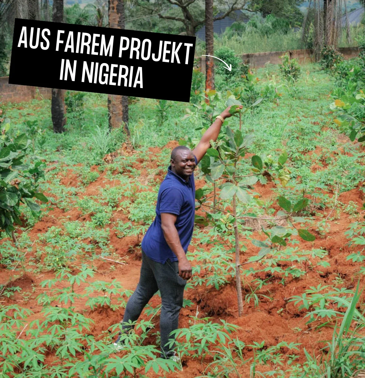 Mann in einem Feld mit Setzlingen und Text Aus fairem Projekt in Nigeria