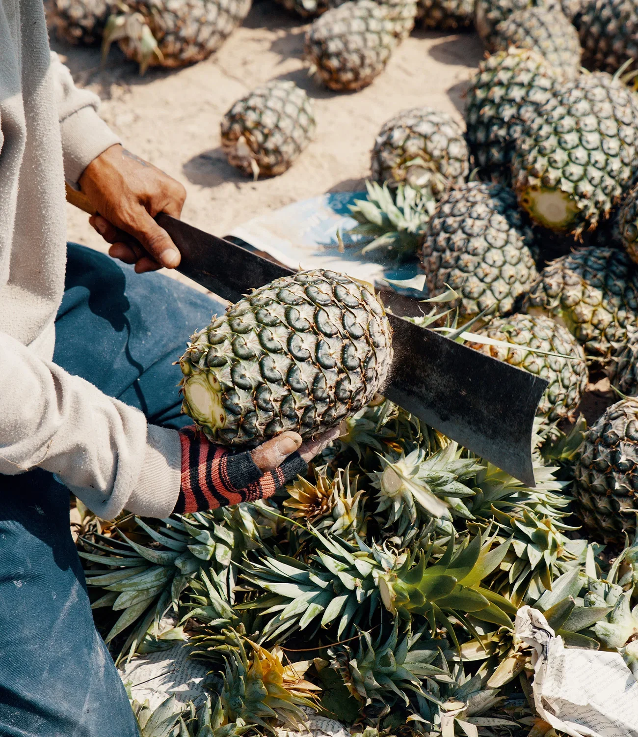 Mann schneidet Ananas mit Machete