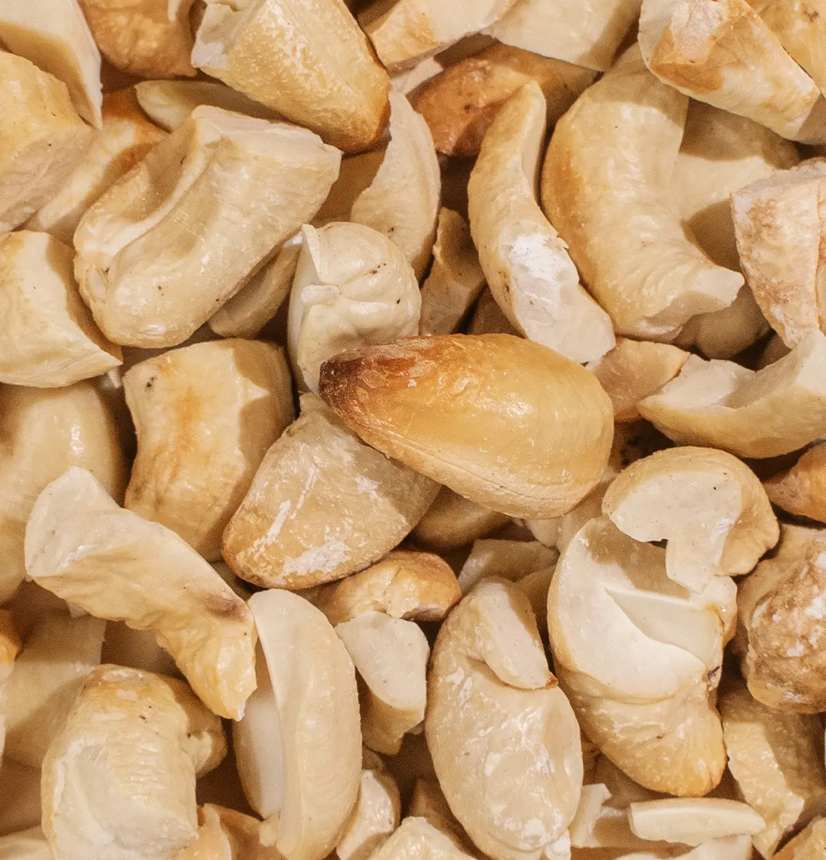 Fairer Cashewbruch im Steinofen gebacken 5kg