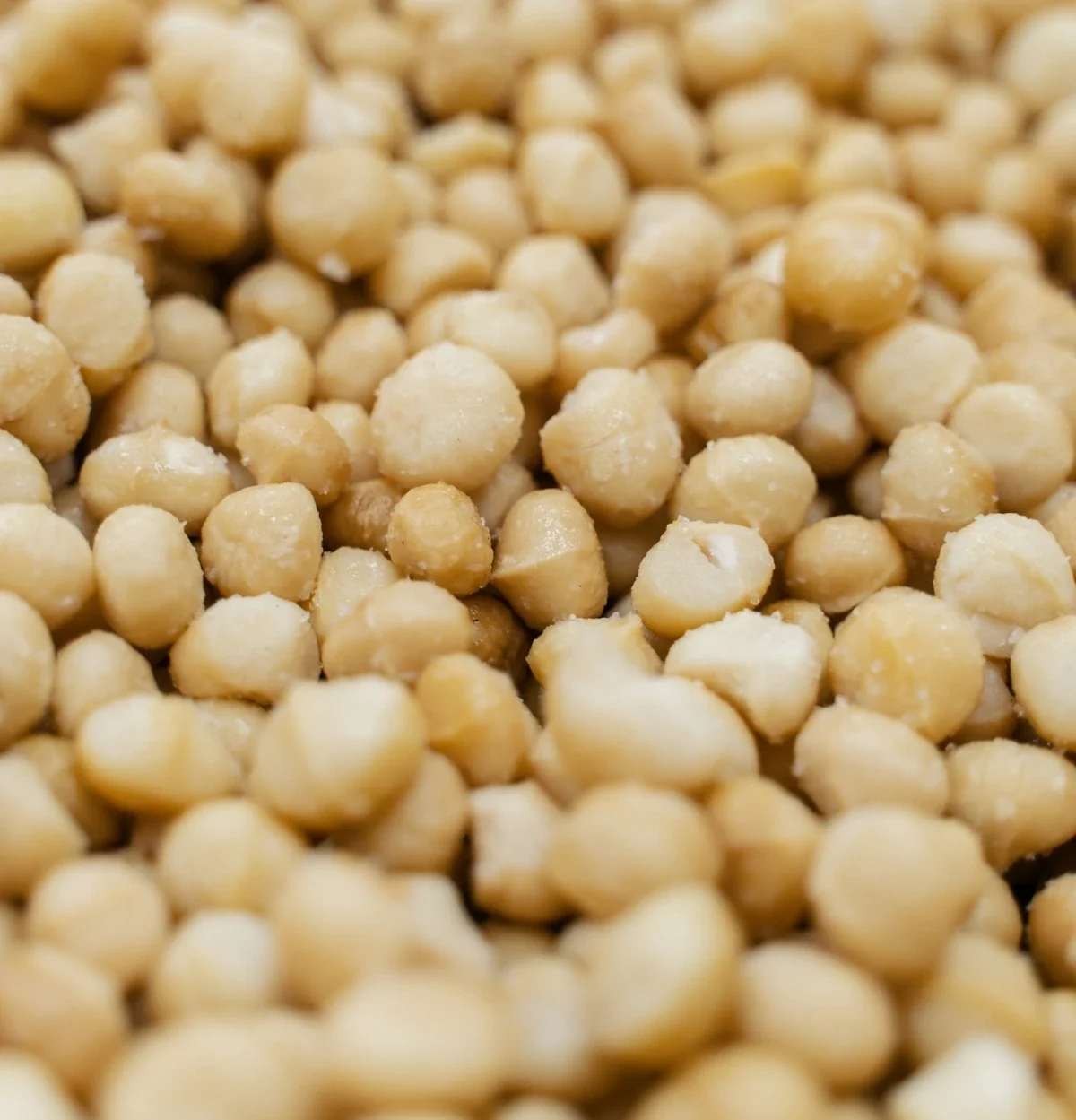 Detailaufnahme gesalzene Macadamia beim Roesten