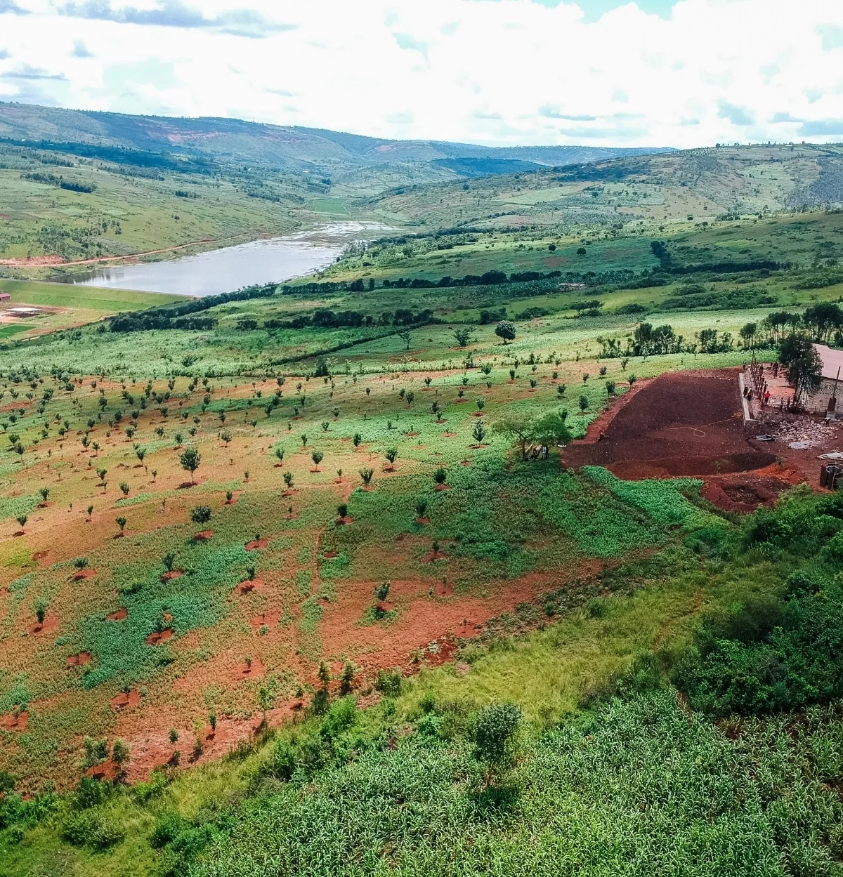 Felder in Ruanda