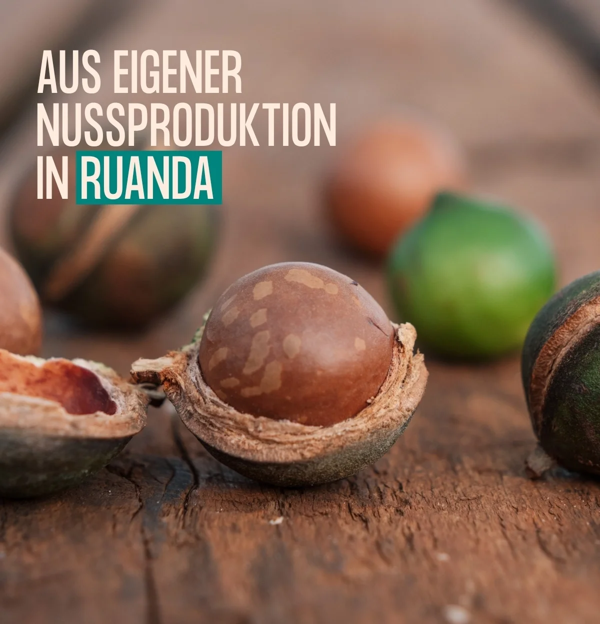 Macadamia aus eigener Nussproduktion in Ruanda