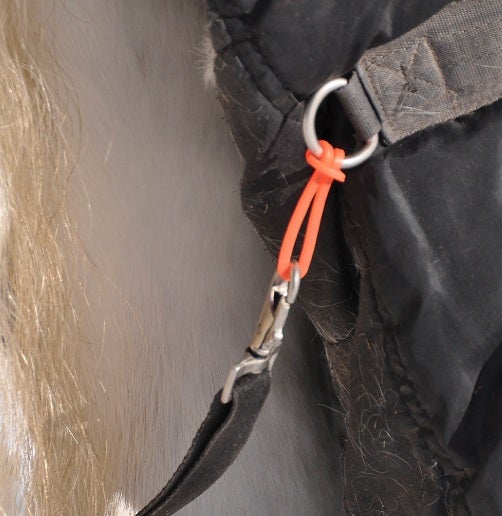 4 x Safe-Gum für Karabiner Safe-Gum-Karabiner-Hinterbeinbegurtung
