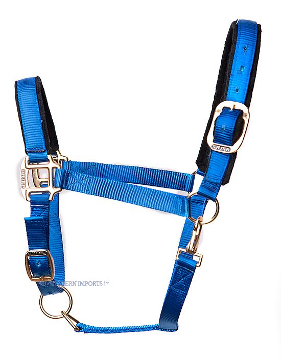 Tuff Stuff Halter - Royal 1354_0
