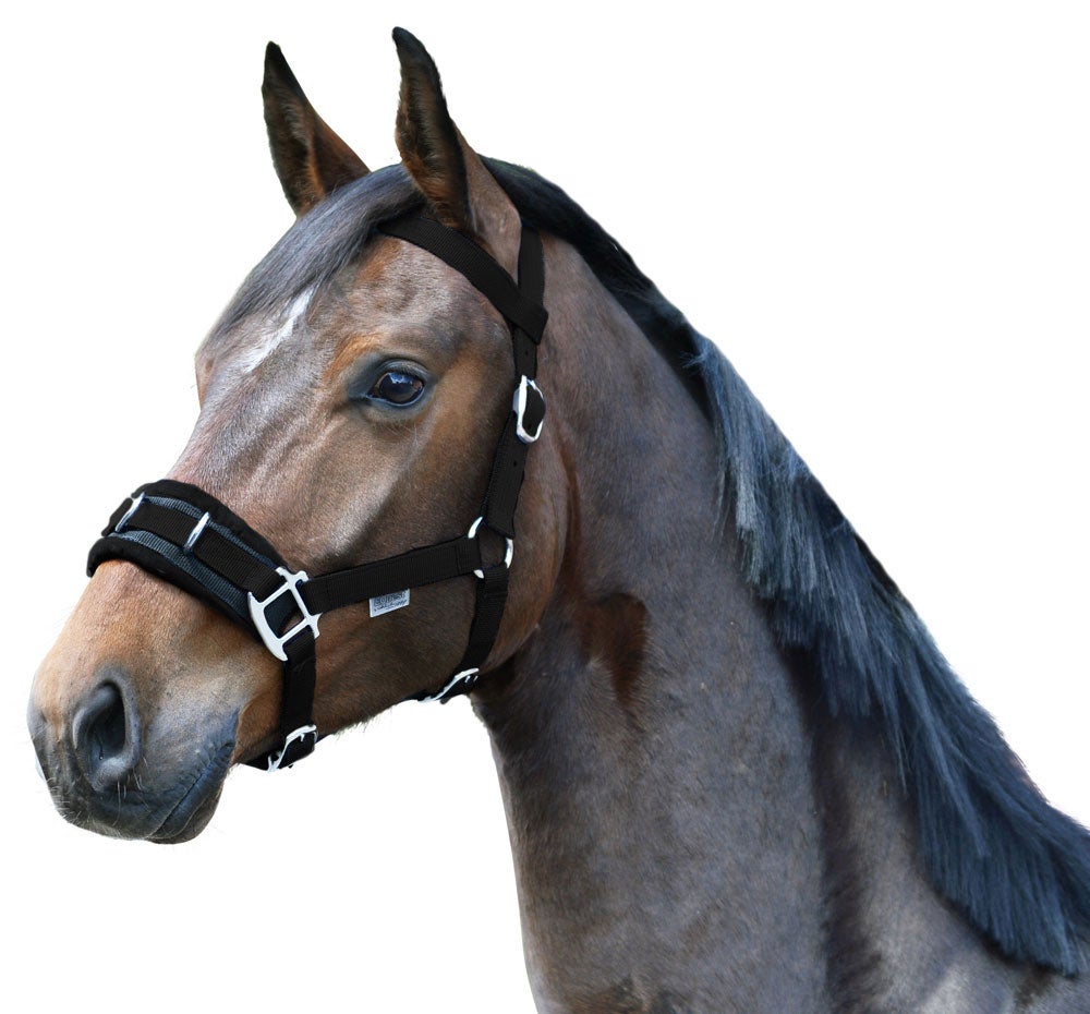 EQuest Kappzaum - Cob, navy Kappzaum schwarz