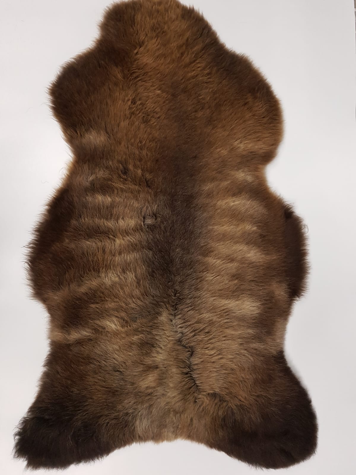 Merino Lamm- / Schafffell 90 x 60 Petz IMG-20201128-WA0040