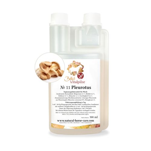 Billy´s Vitalpilze No 11 Pleurotus MHD: 31.07.2025
