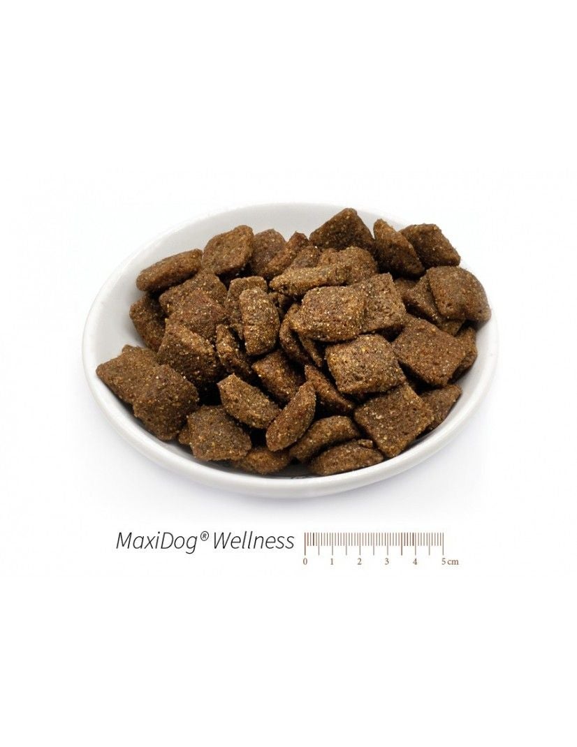 REICO MaxiDog Wellness REICO MaxiDog Wellness