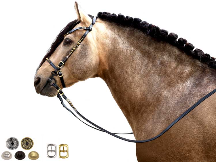 BioThane Trense Barock messing-messing - Warmblut XL Trense_barock Kopie
