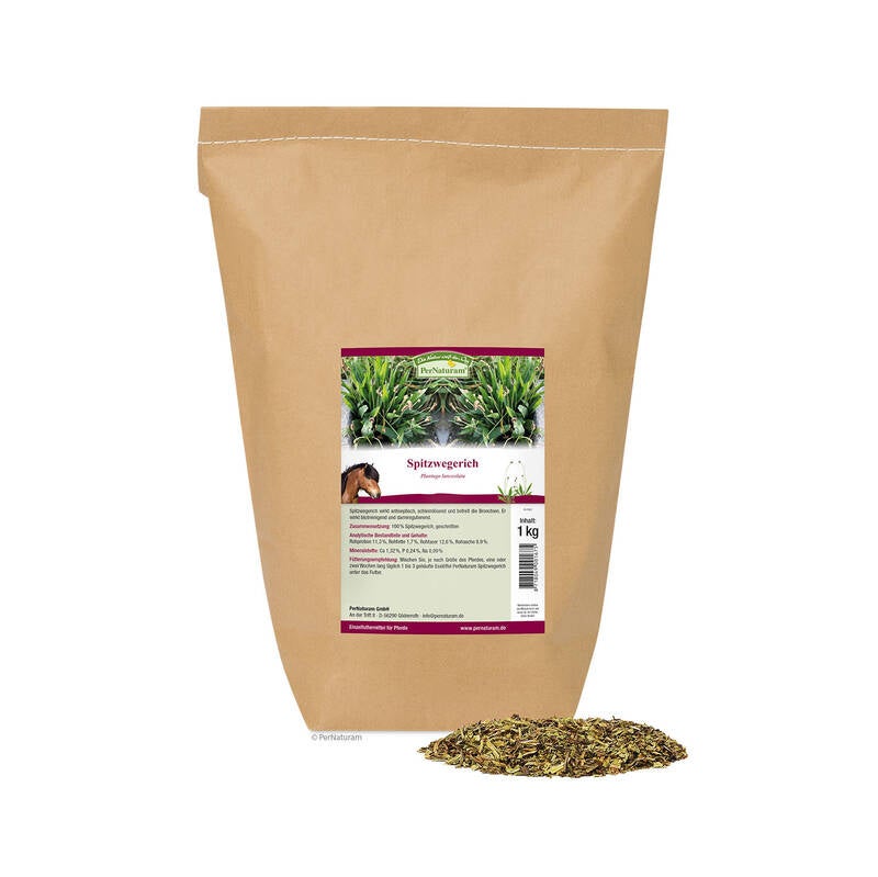 PerNaturam Spitzwegerich spitzwegerich-1-kg-pernaturam-shop