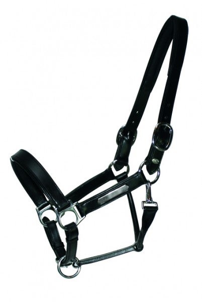 EQ Lederhalfter Inscribe MOCHA - L Lederhalfter schwarz Inscribe