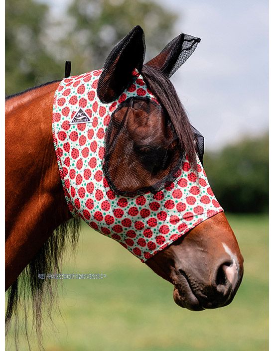 Comfort Fit Flymask LADYBUG 