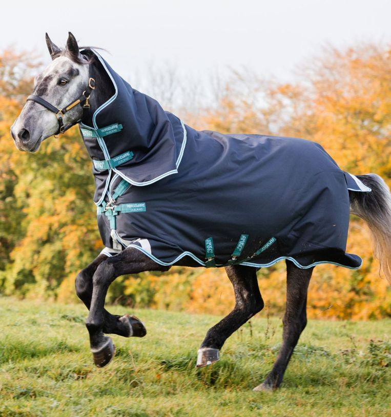 Amigo® Bravo 12 Plus Turnout (250g Medium) Amigo® Bravo 12 Plus Turnout (250g Medium)