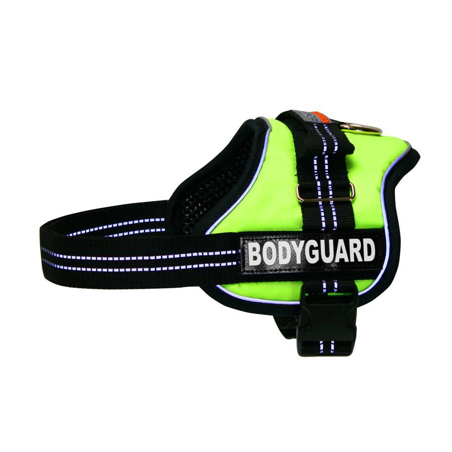 EQuest Hundegeschirr ACTION 700400_1229_2025