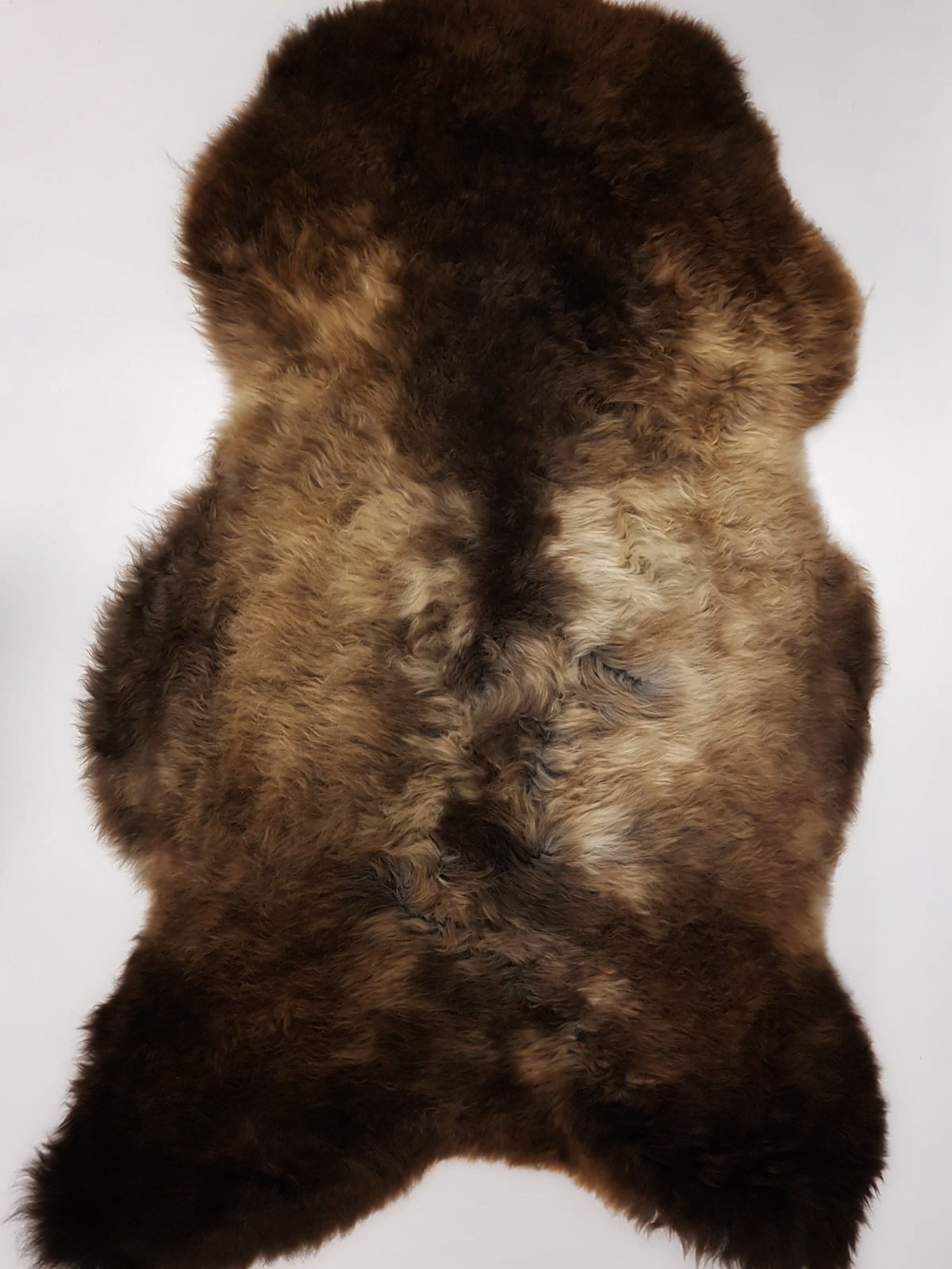Merino Lamm- / Schafffell 90 x 60 Kalle IMG-20201128-WA0045-01