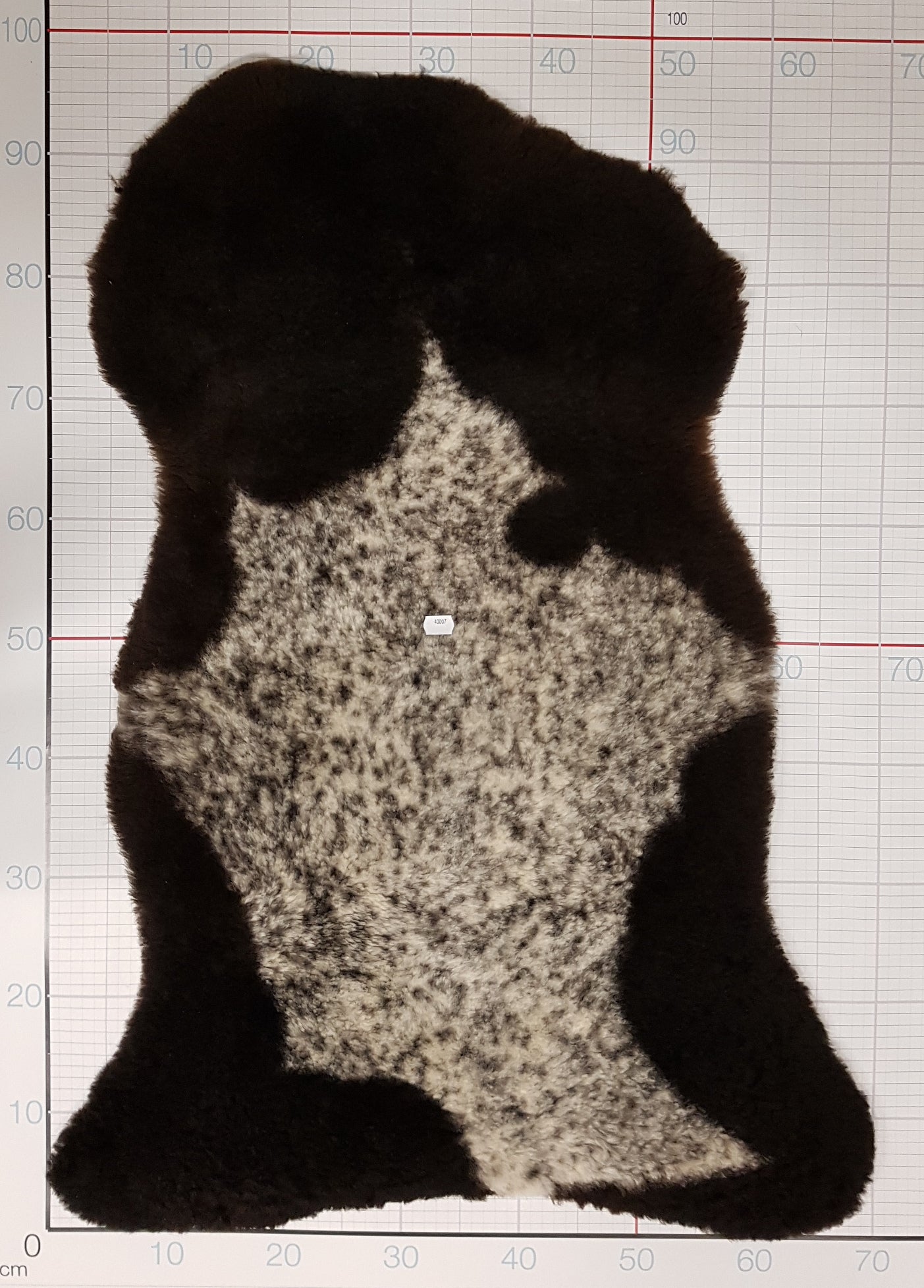 Lamm- / Schaffell 95 x 70 Hörnchen 40007