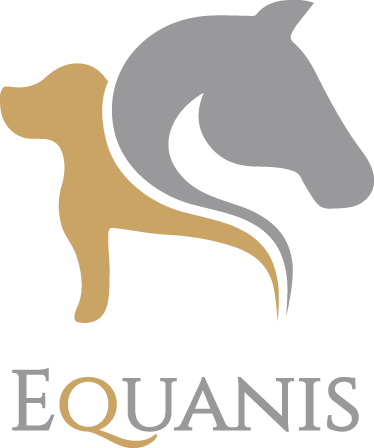 EQuanis EQuanis