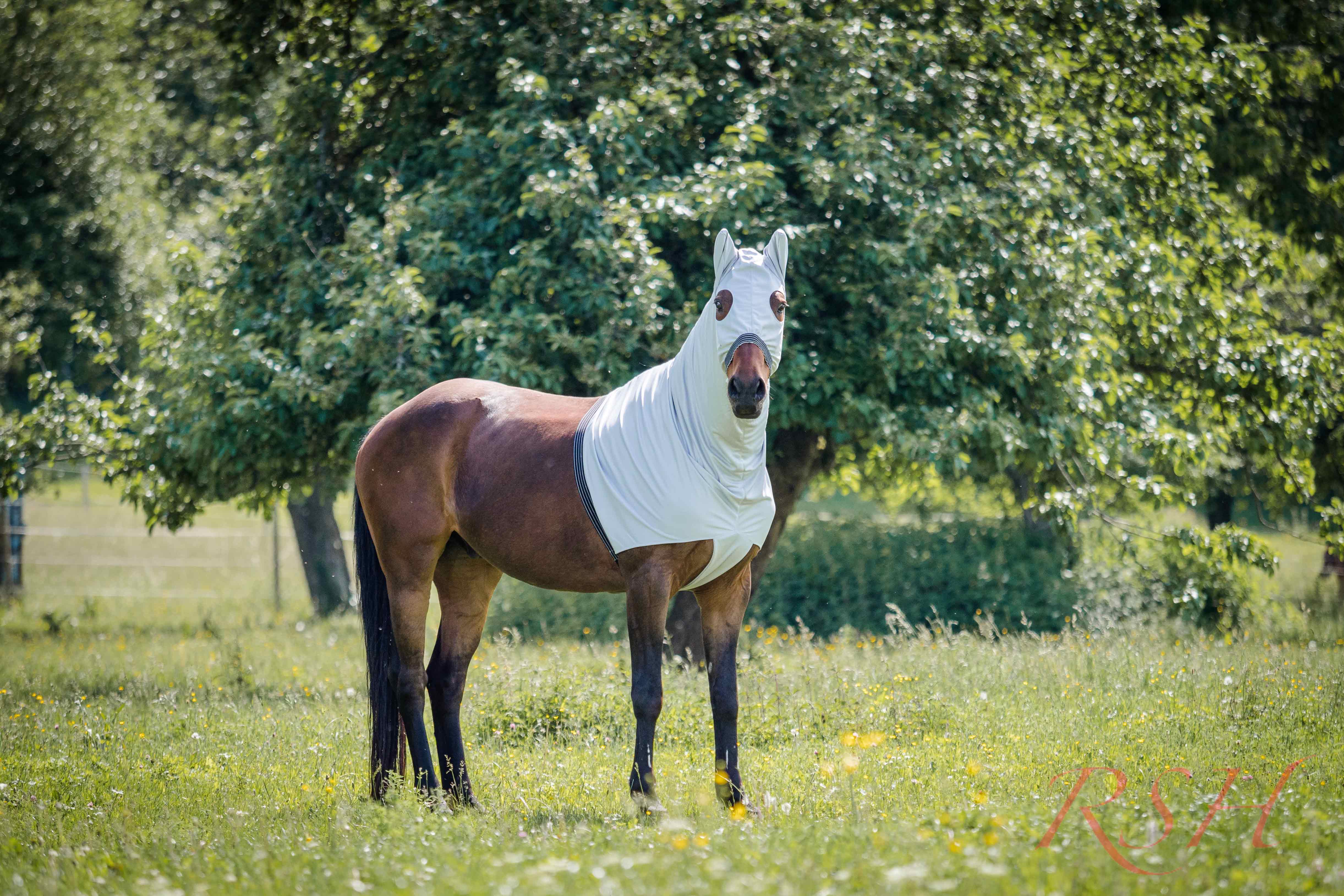 RSH Teilkörperdecke Shari RSH Teilkörperdecke Shari
