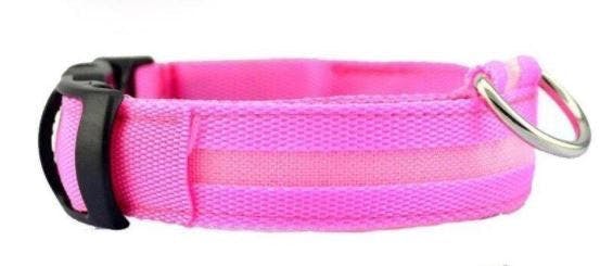 LED Leuchthalsband für Hunde pink - M LED Pink